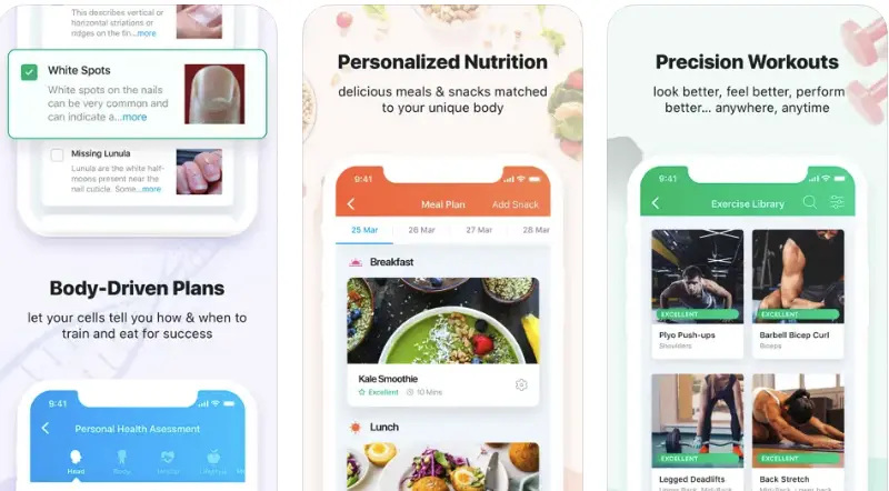 ShaeFit: Precision Fitness - Cross-platform mobile app development project
